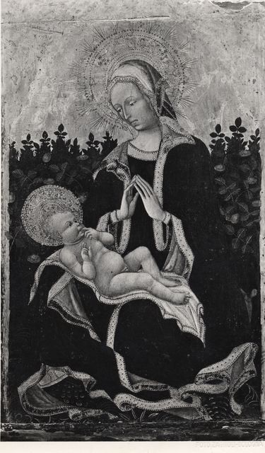 Zagnoli, Alfonso — Maestro di Lonigo - sec. XV - Madonna con Bambino — insieme